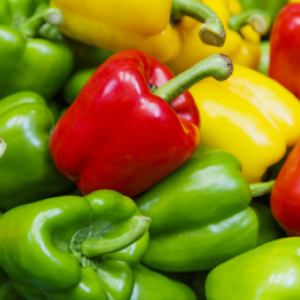 Jak správně pěstovat a starat se o papriku