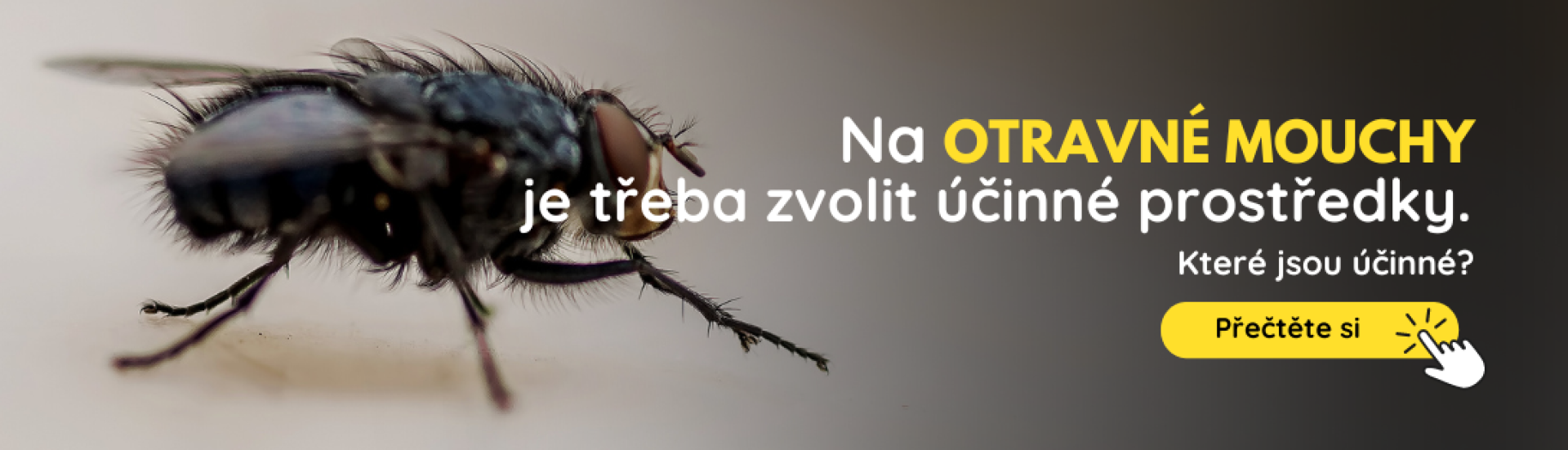 CZ Muchy (6,7,8,9,) CZ Muchy (6,7,8,9,)