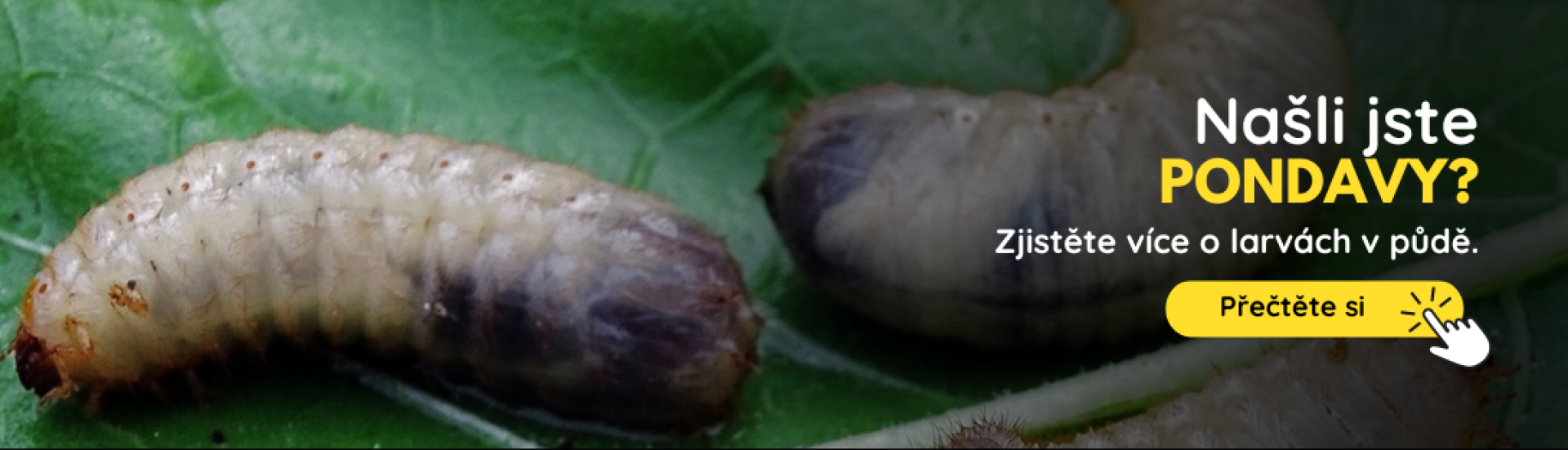 CZ Pandravy (3,4,5,6,7,8,9,10) CZ Pandravy (3,4,5,6,7,8,9,10)