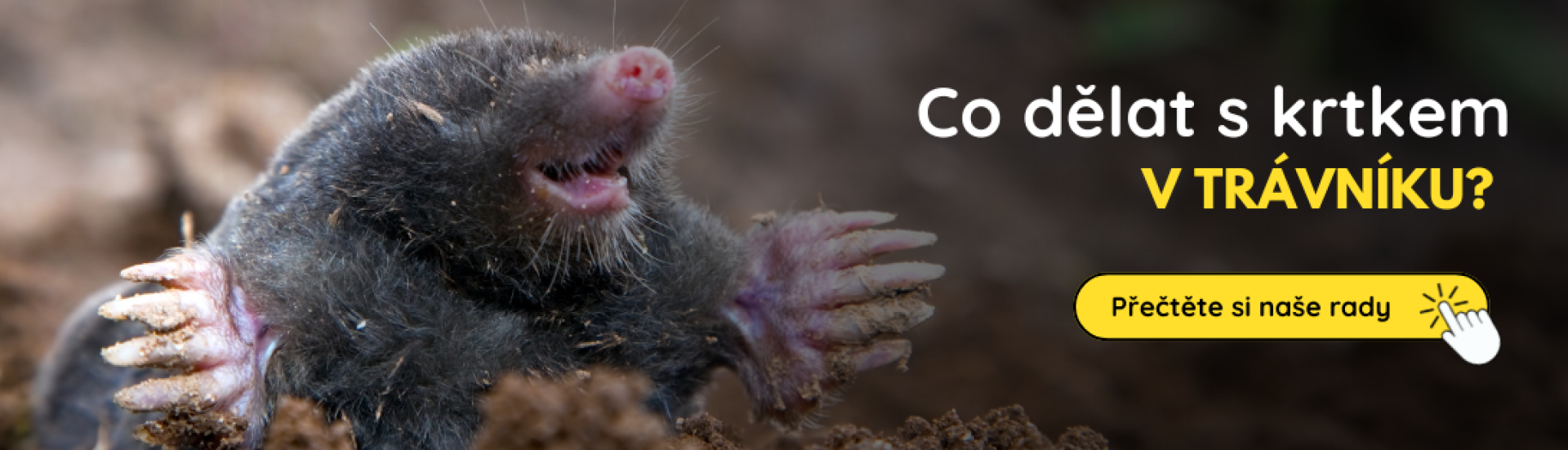 CZ krtko (4,5,6) CZ krtko (4,5,6)