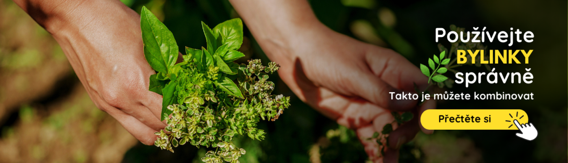 CZ Pestovanie byliniek (4,5,6,7,8,9) CZ Pestovanie byliniek (4,5,6,7,8,9)